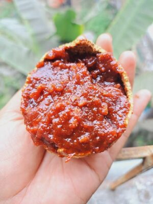 কদবেল আচার