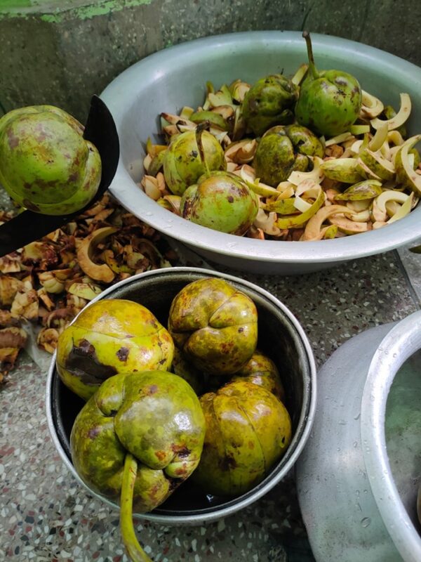 চালতা আচার - Image 2