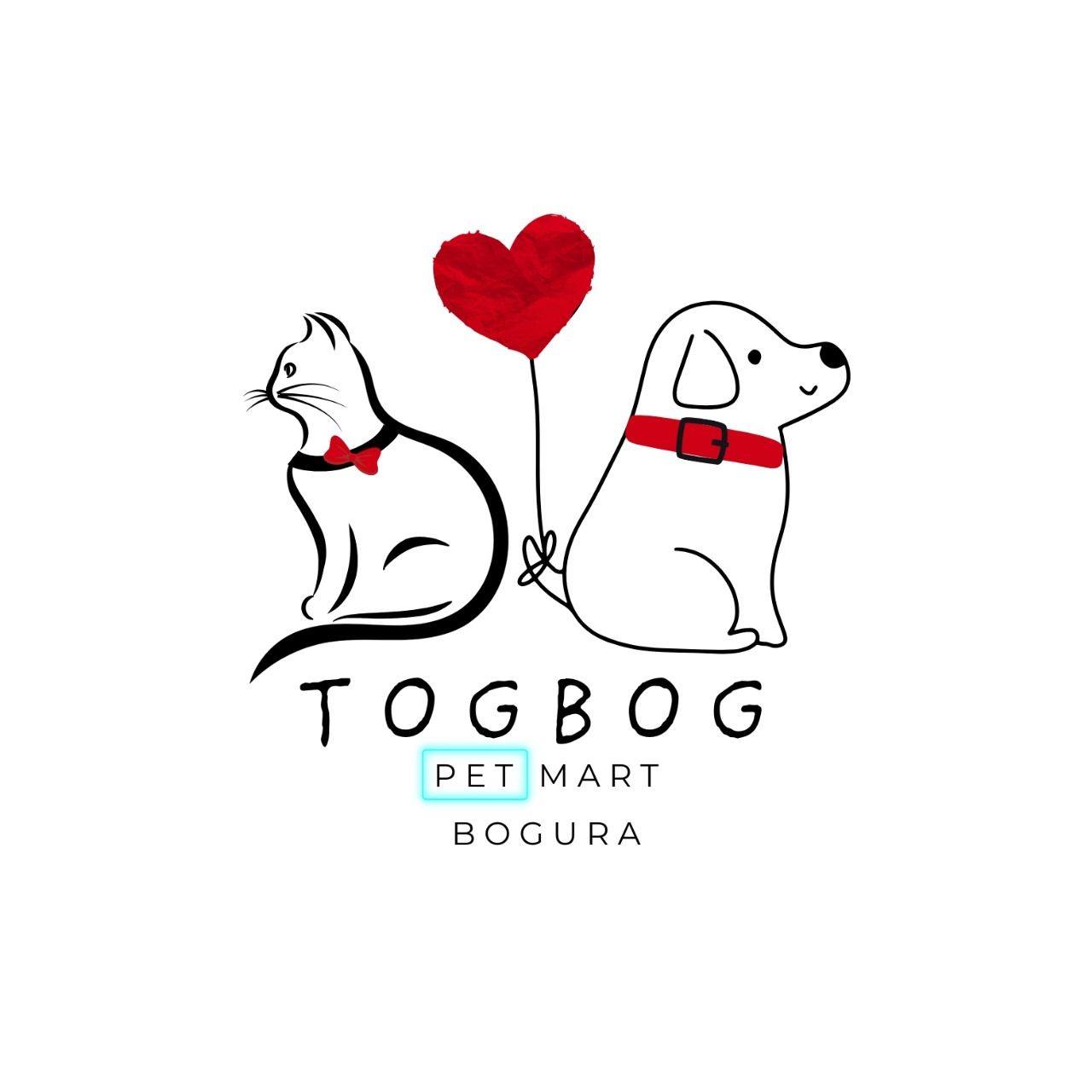 494685703_122277060356007101_6530213607678179875_n