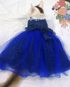Pet Dress