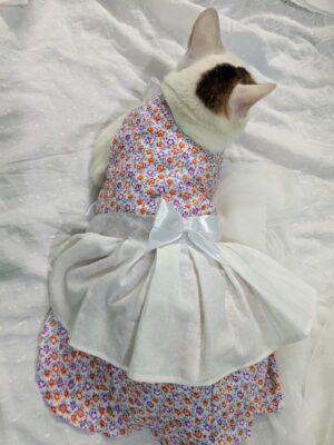 Pet Dress