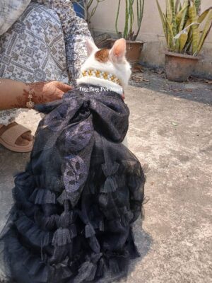Pet Dress